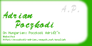 adrian poczkodi business card